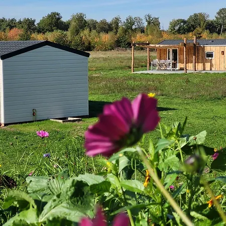 Chalet Hoeve Twente - De Torenvalk