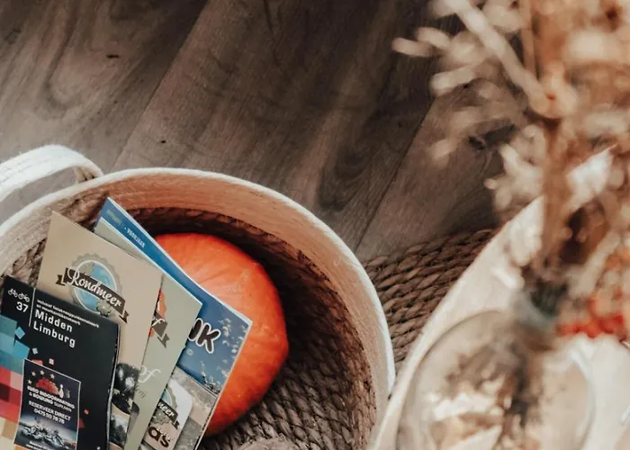 Domek alpejski Hoeve Twente - De Torenvalk Heythuysen