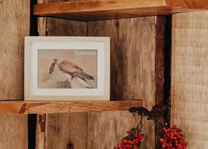 Hoeve Twente - De Torenvalk Heythuysen