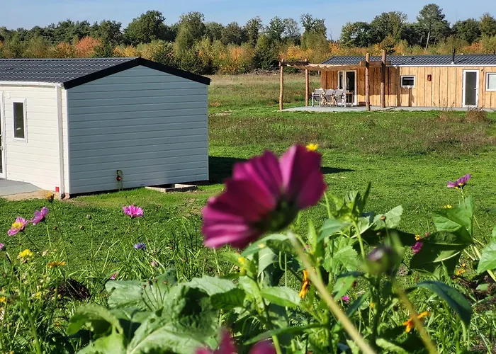 Domek alpejski Hoeve Twente - De Torenvalk